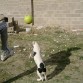 CON SU BALON PREFERIDO